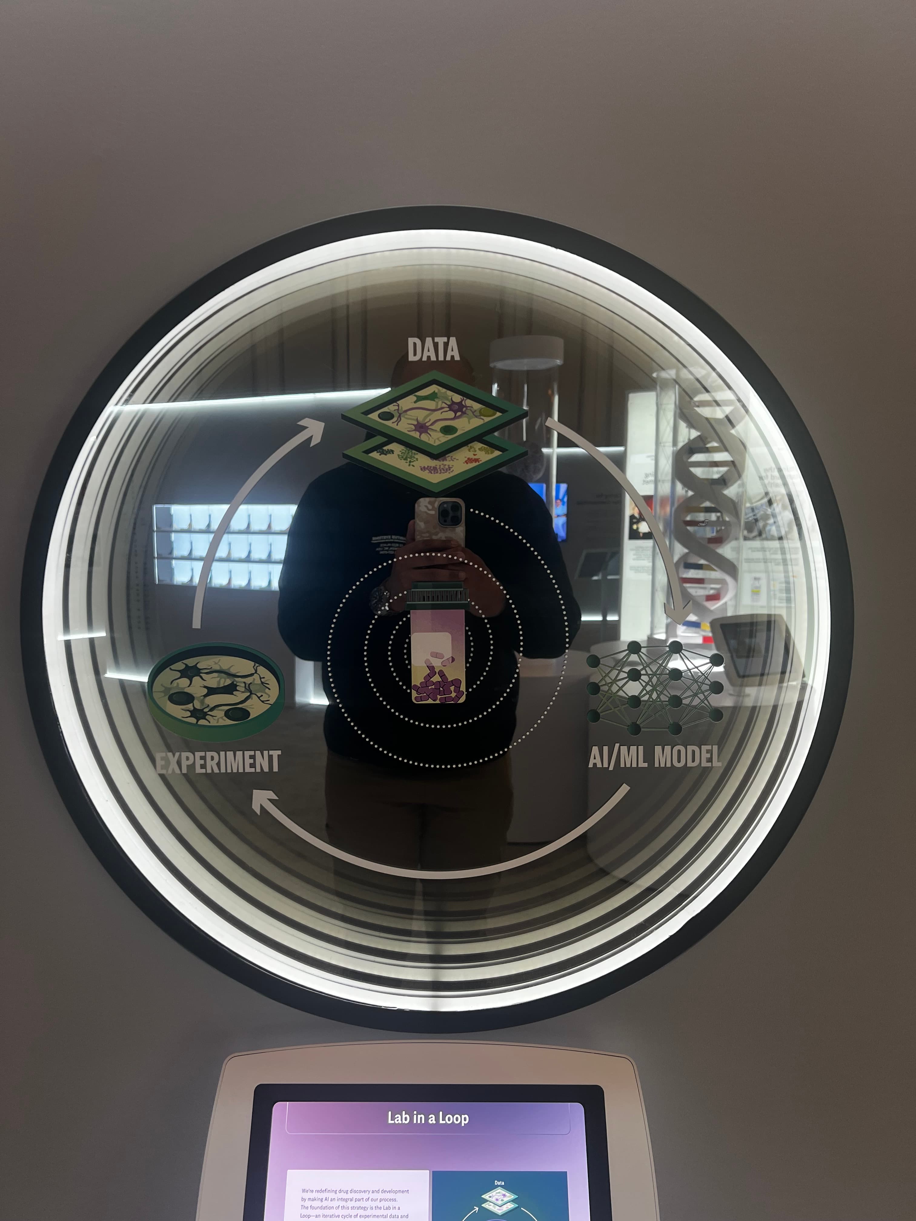 Exhibit installation – clear vinyl wet application, circular display